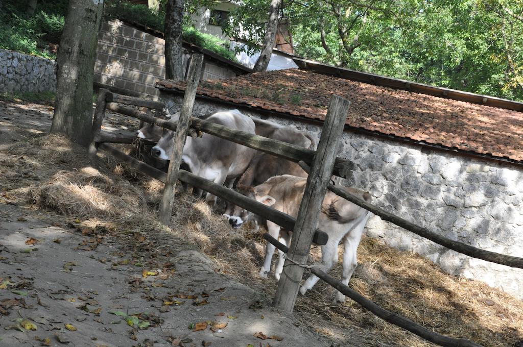 Agriturismo Ricciardelli Villa Contrada  Dış mekan fotoğraf